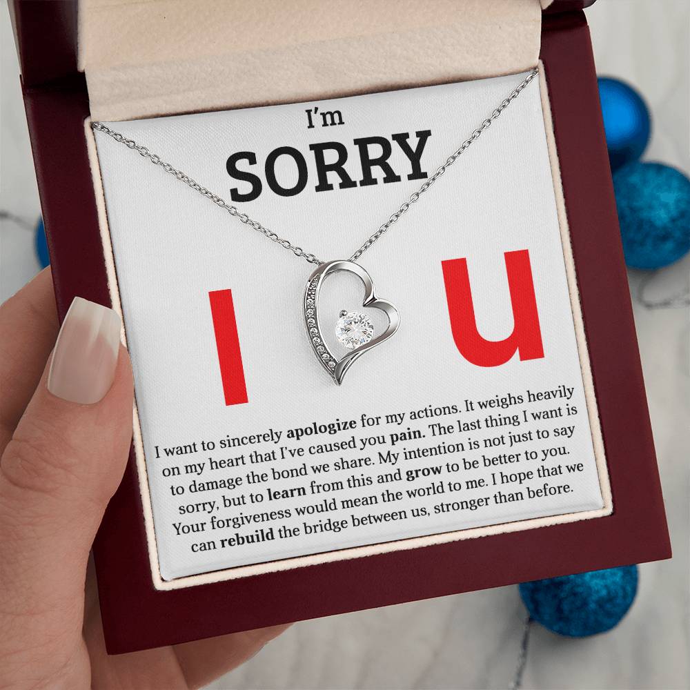I am Sorry - Please Forgive Me - Forever Love Necklace Gift