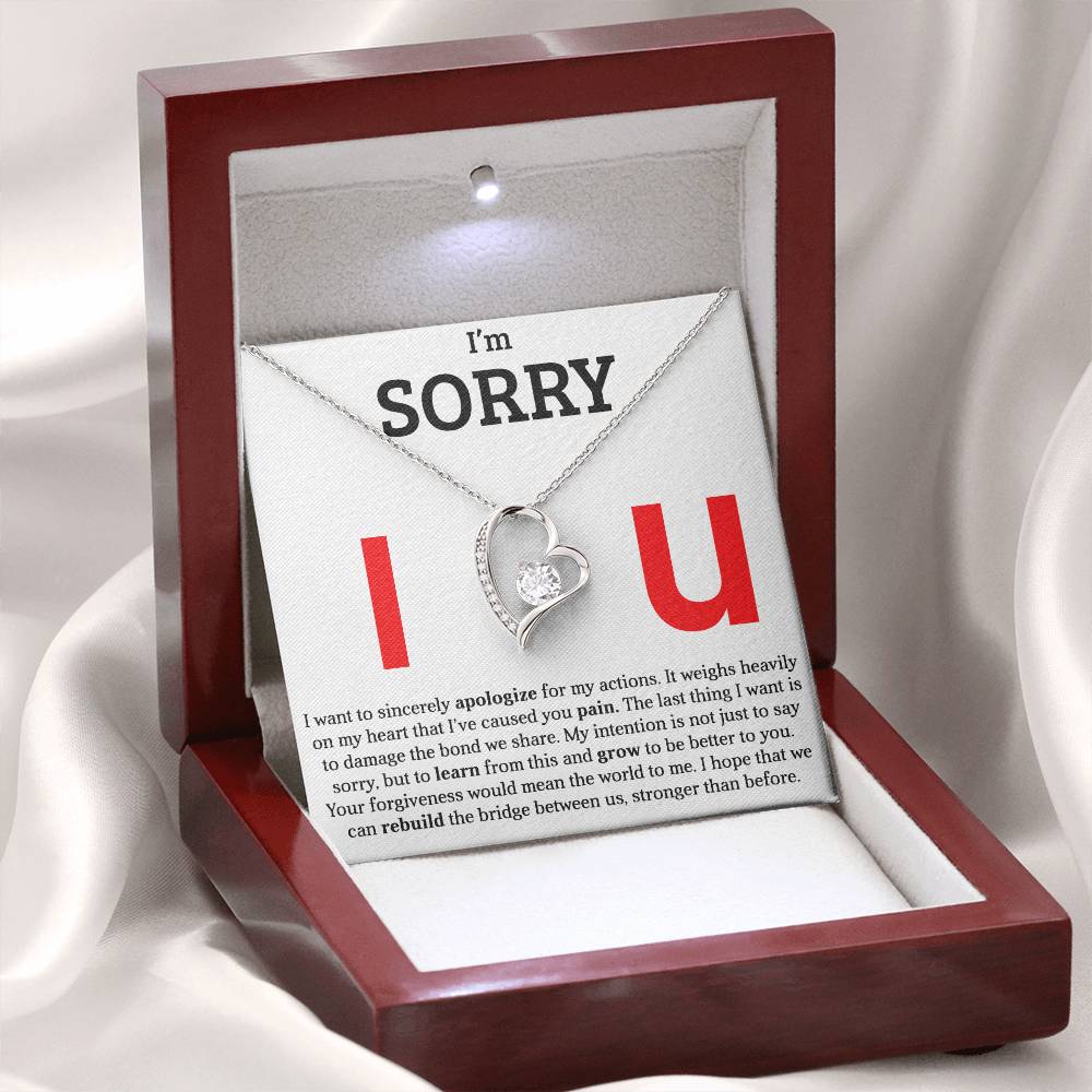 I am Sorry - Please Forgive Me - Forever Love Necklace Gift