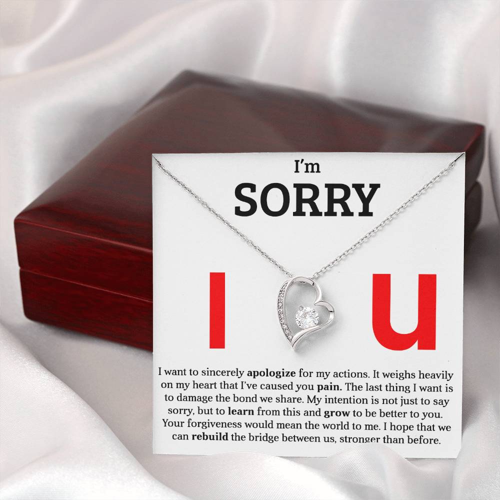 I am Sorry - Please Forgive Me - Forever Love Necklace Gift