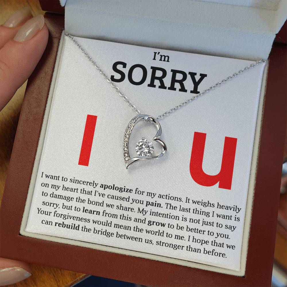 I am Sorry - Please Forgive Me - Forever Love Necklace Gift