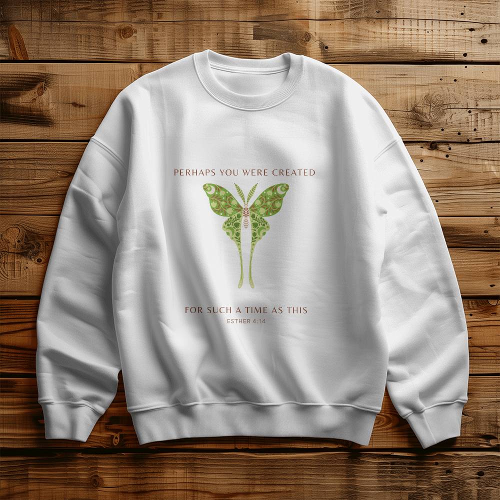 Such a time like this Sweat shirt, Moth Teeshirt
