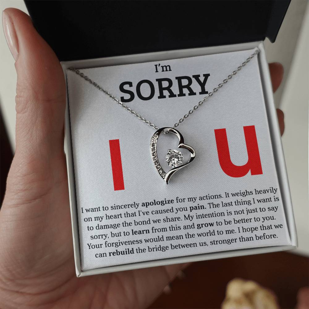 I am Sorry - Please Forgive Me - Forever Love Necklace Gift
