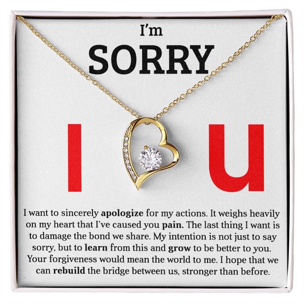 I am Sorry - Please Forgive Me - Forever Love Necklace Gift