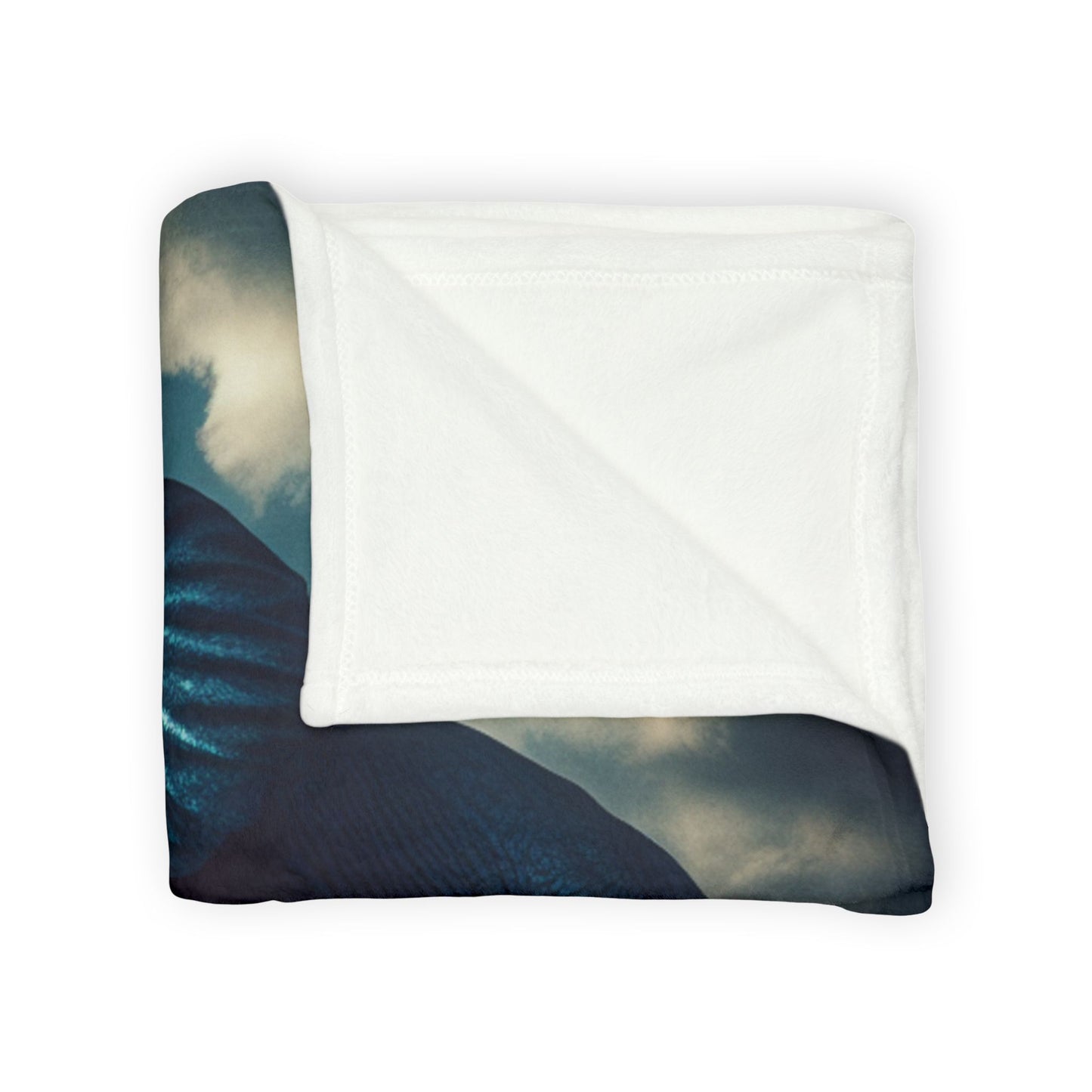 Soft Polyester Blanket