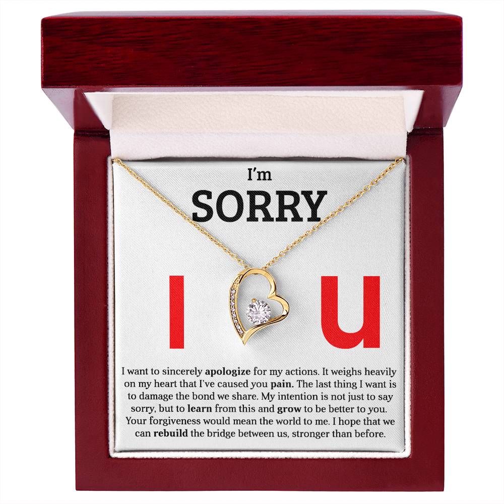 I am Sorry - Please Forgive Me - Forever Love Necklace Gift