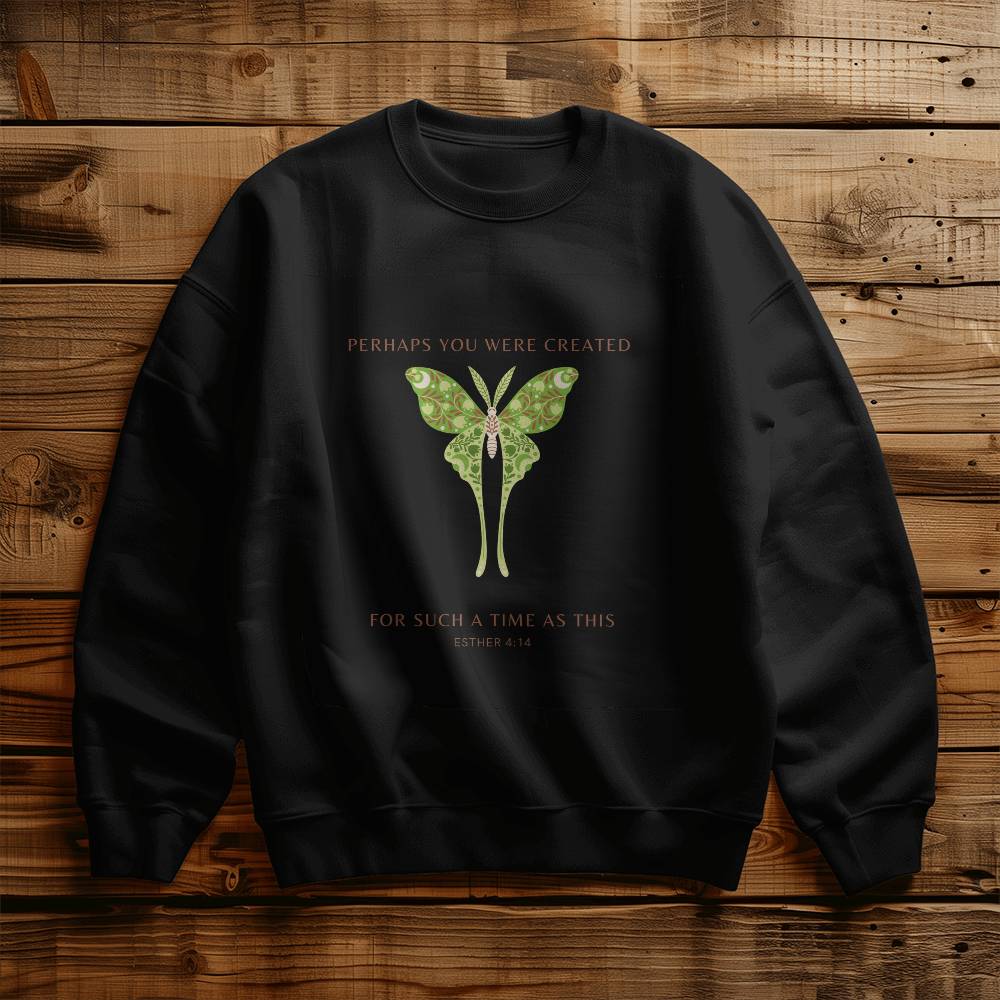 Such a time like this  Sweat shirt,  Moth Teeshirt